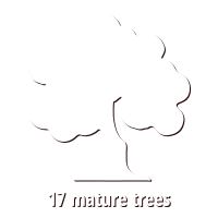 trees